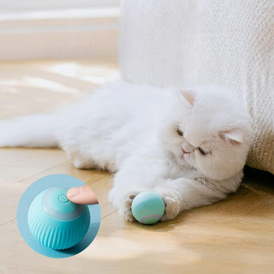 Automatic Pet Teaser Ball